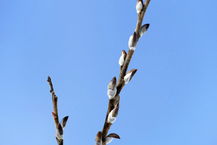191-30019-80.jpg